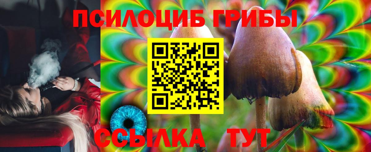 Псилоцибиновые грибы Psilocybine cubensis Котельники